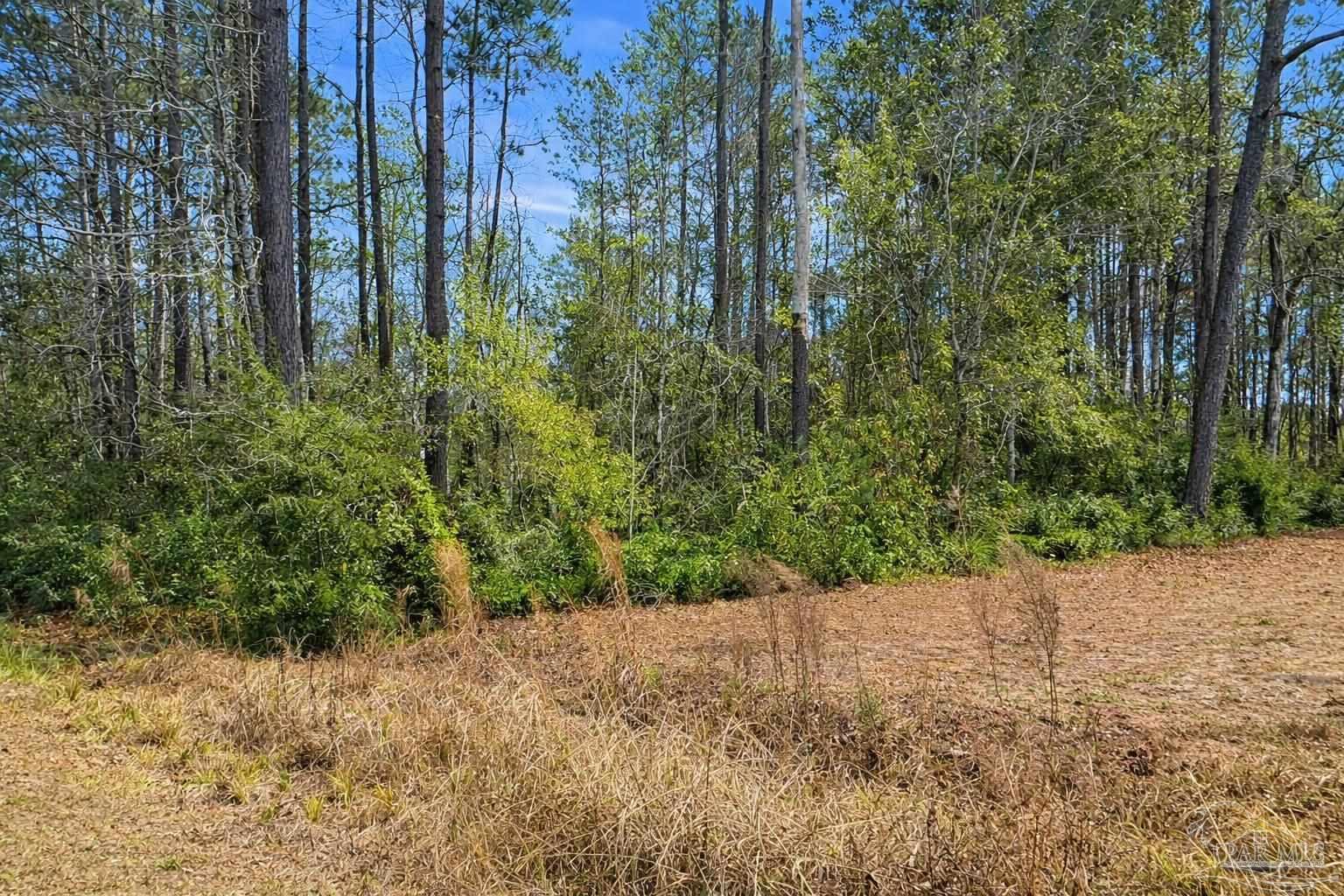818 Twin Bridges Road Flomaton, AL 36441 - Photo 29 of 33 a view of a garden with trees