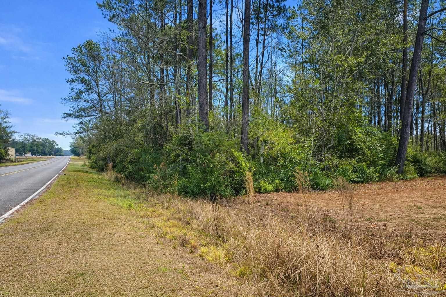 818 Twin Bridges Road Flomaton, AL 36441 - Photo 30 of 33 a view of backyard with green space