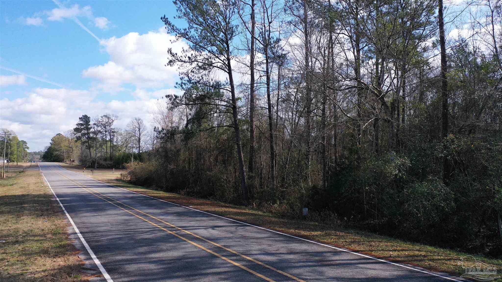 818 Twin Bridges Road Flomaton, AL 36441 - Photo 3 of 33 a view of a backyard