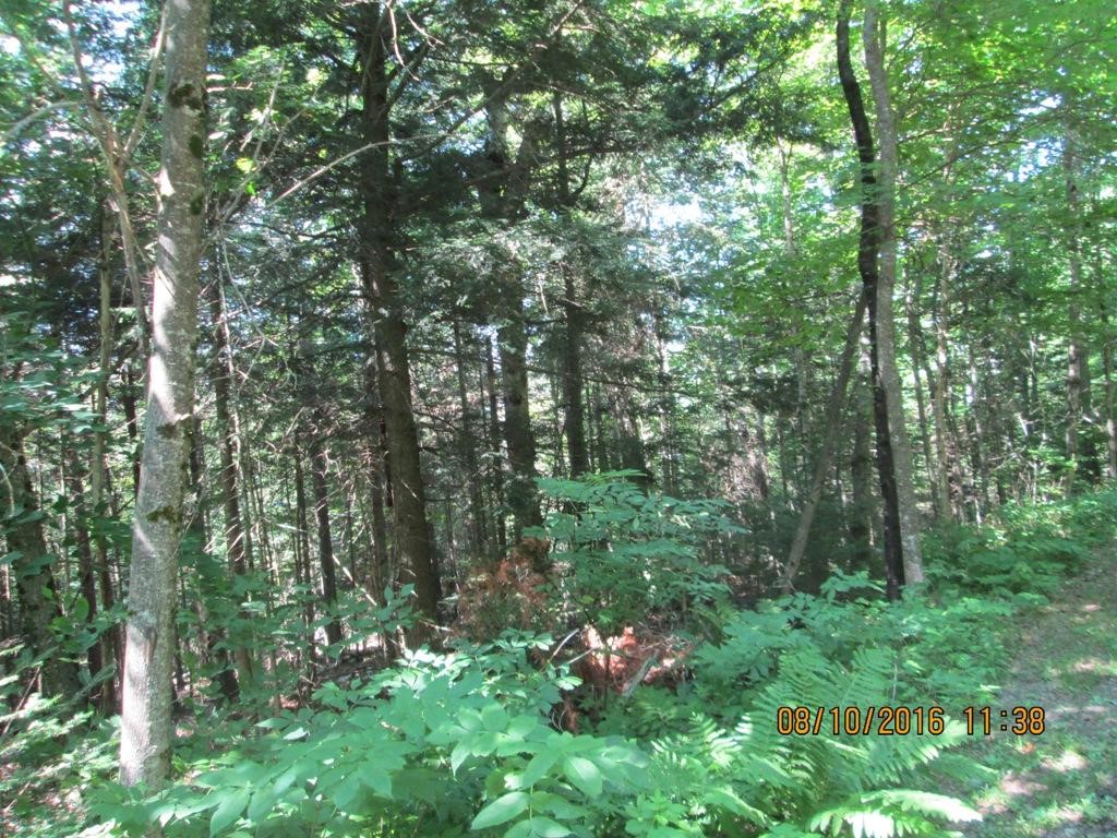 Lot # Cottage Road Canaan, VT 05903 - Photo 2 of 5