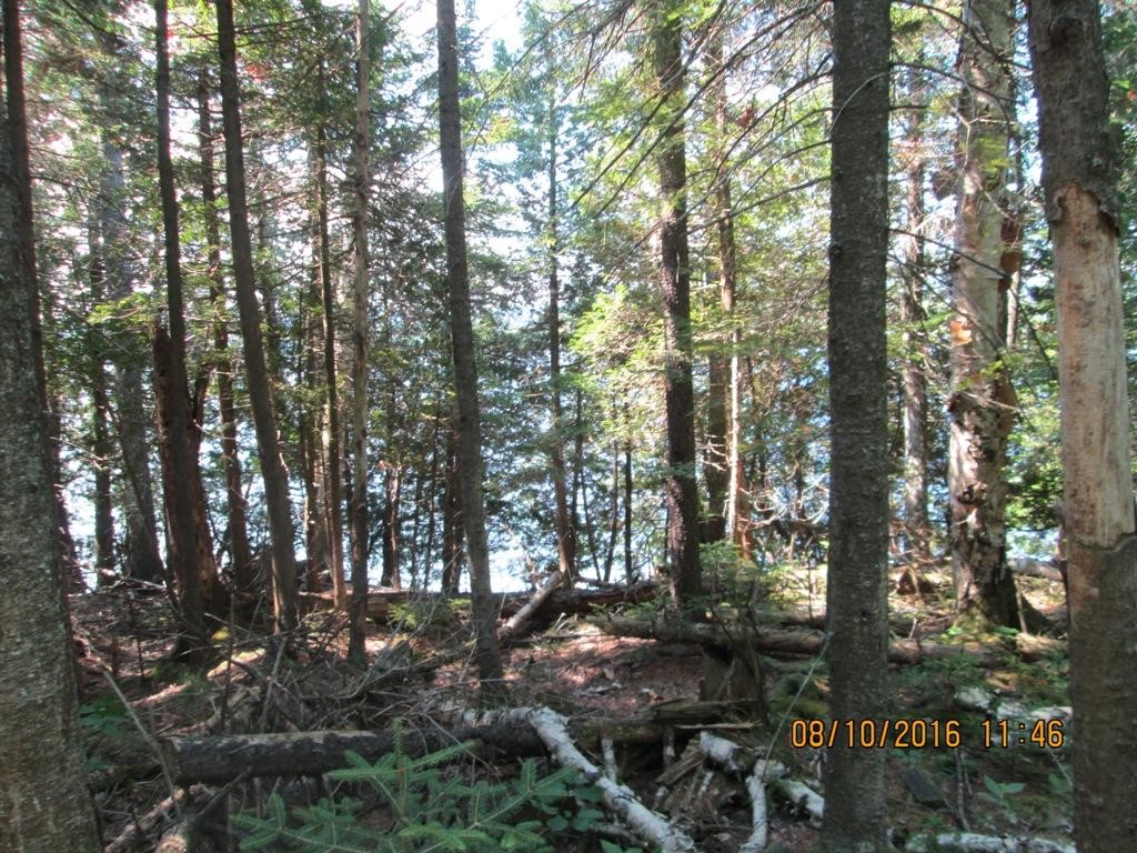 Lot # Cottage Road Canaan, VT 05903 - Photo 4 of 5