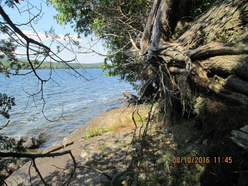 Lot # Cottage Road Canaan, VT 05903 - Photo 5 of 5