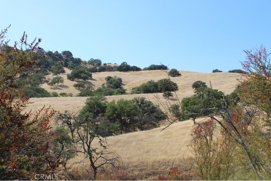 71902 Vineyard Canyon Road San Miguel, CA 93451 - Photo 4 of 6 a view of a dry yard with mountains in the background