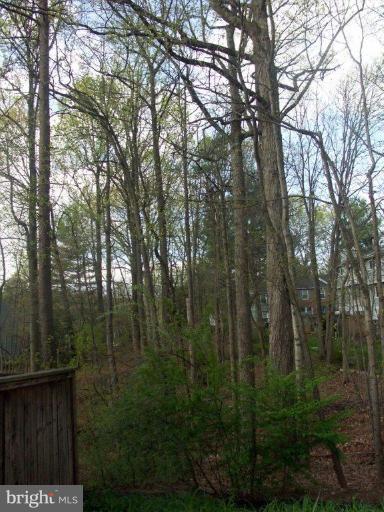 11531 Buttonwood Court Reston, VA 20191 - Photo 11 of 13 Exterior (General)