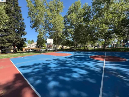 a view of green field