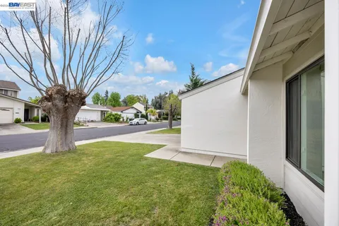 a view of a yard with a tree