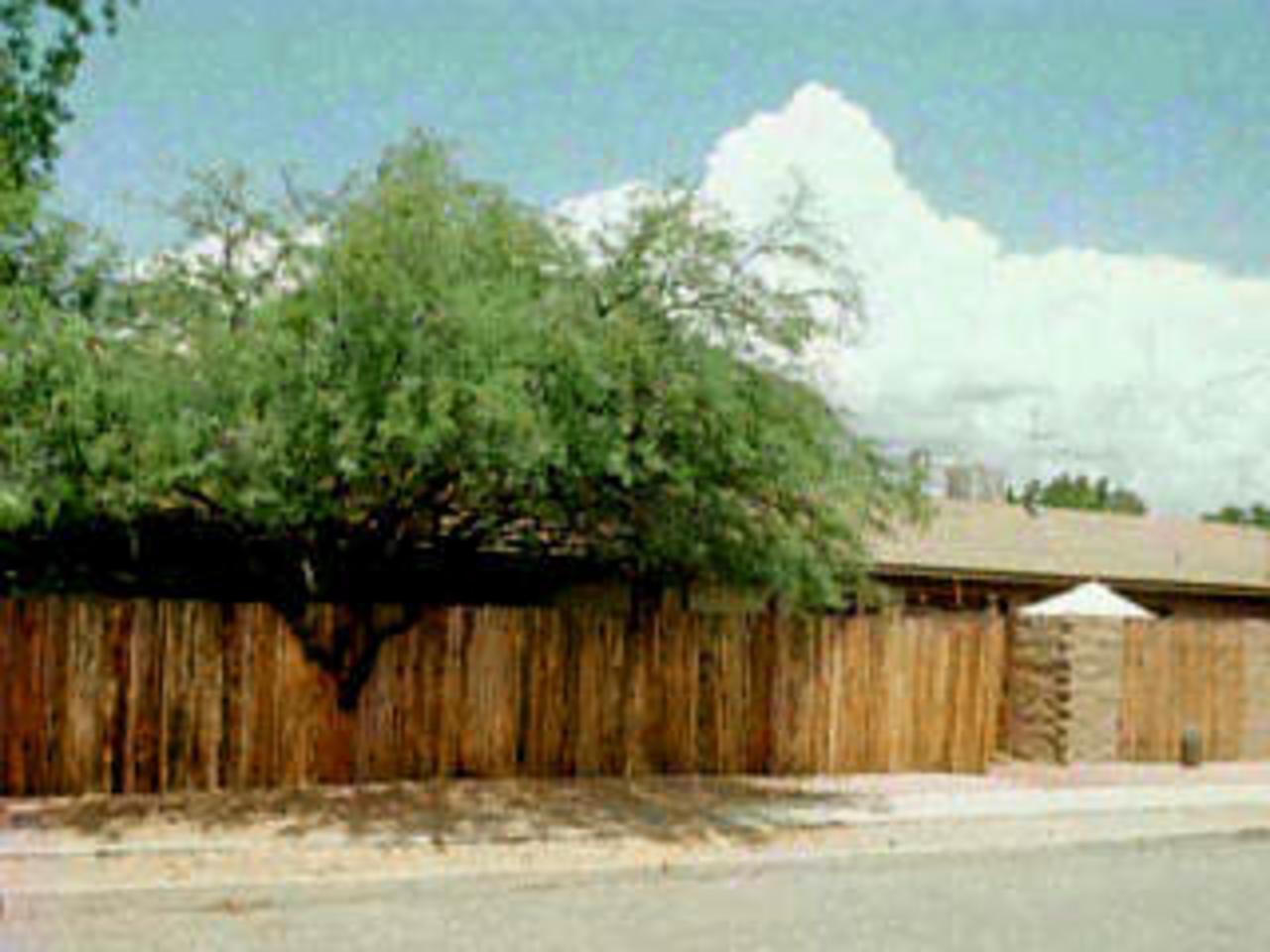 1105 East Spring Street Tucson, AZ 85719 - Photo 1 of 1 Gallery Image 1