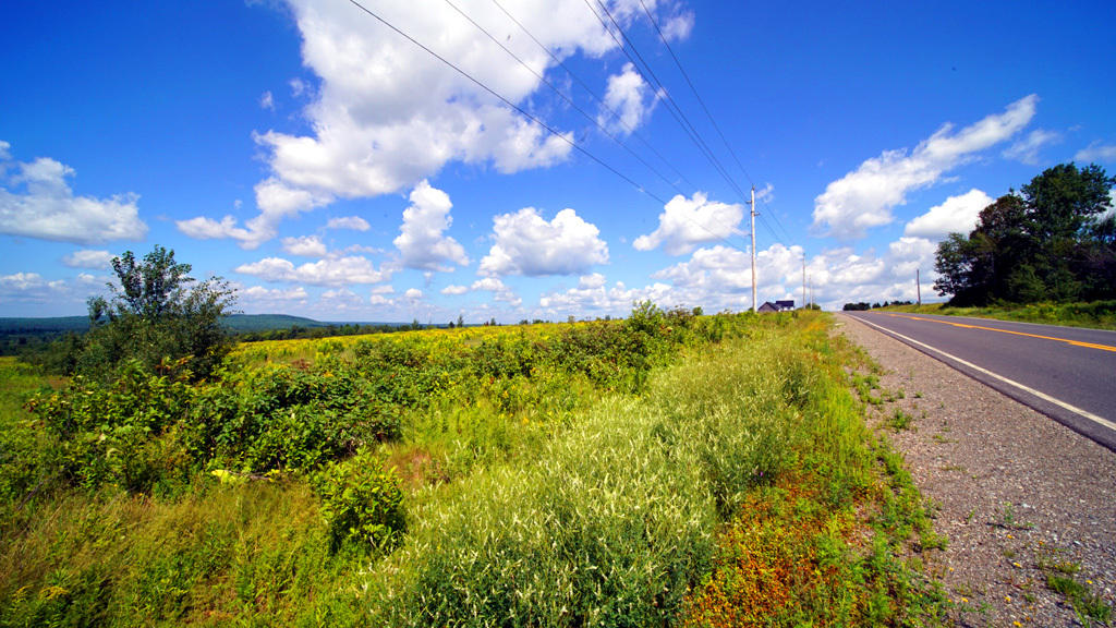 Lot 3 Dyer Brook Road Dyer Brook, ME 04747 - Photo 11 of 30 dyer-brook-land-strubbar-2