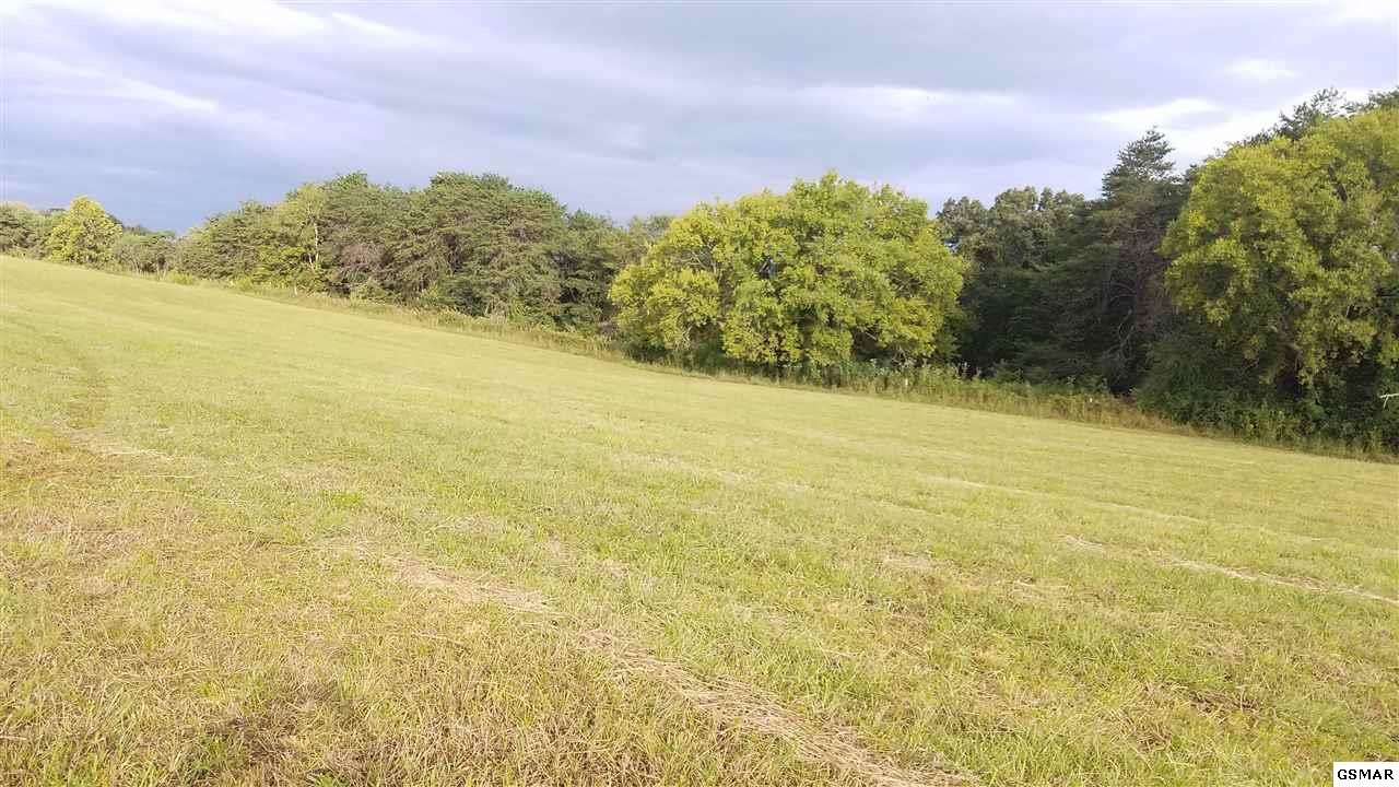 13 Kodak Road Kodak, TN 37764 - Photo 9 of 18 Gallery Image 9