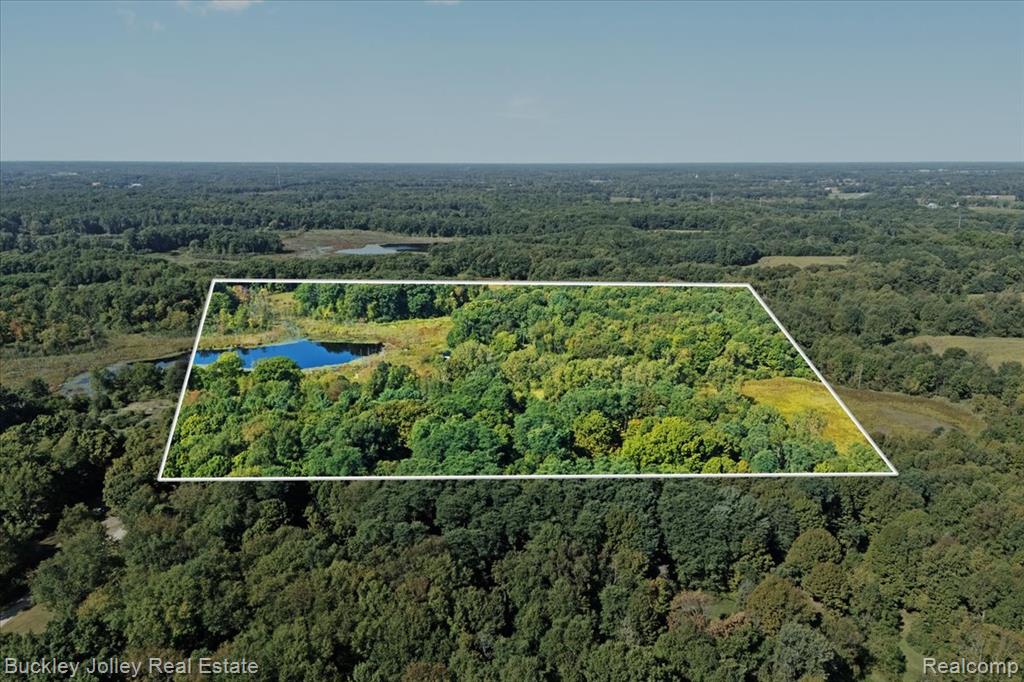10101 Wiggins Road Howell, MI 48855 - Photo 4 of 9