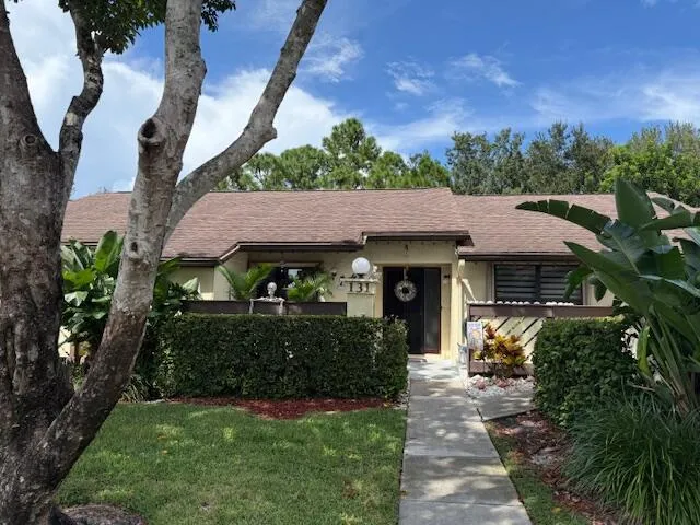 a view of a back yard
