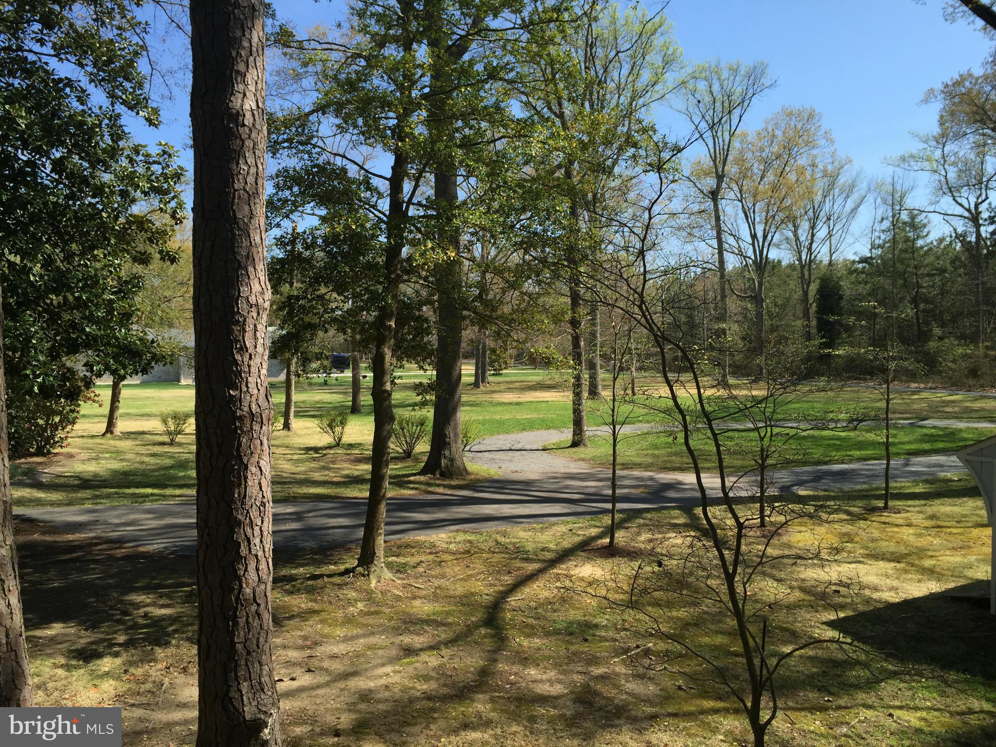 44294 Finnacom Road Tall Timbers, MD 20690 - Photo 26 of 30 This Yard View Shows Driveway