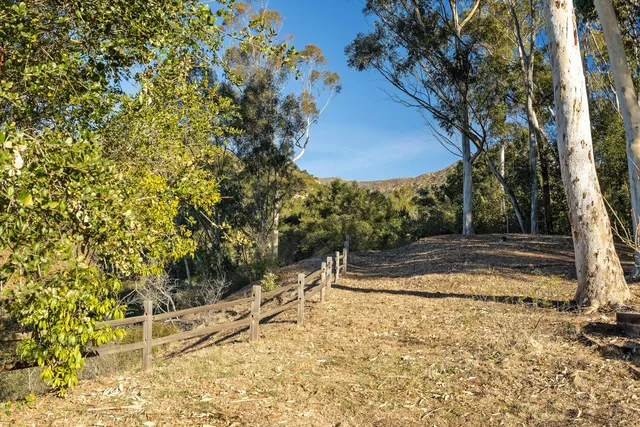 a view of a backyard