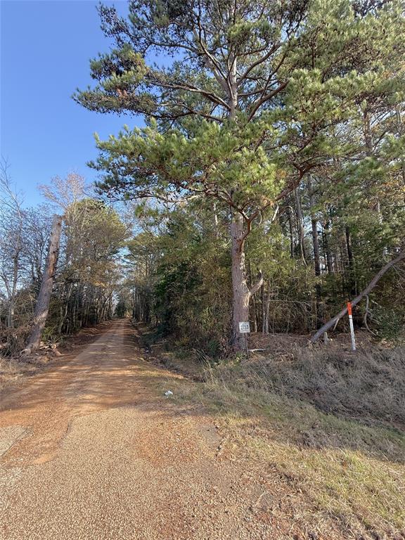 0 Fm 2888 Naples, TX 75568 - Photo 4 of 7