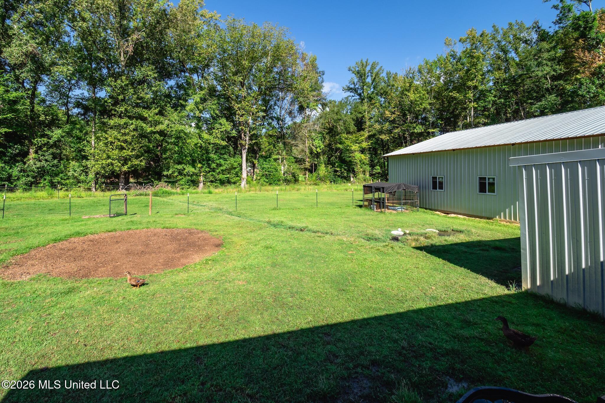 110 Hickory Ridge Cove Raymond, MS 39154 - Photo 25 of 28 P9090034