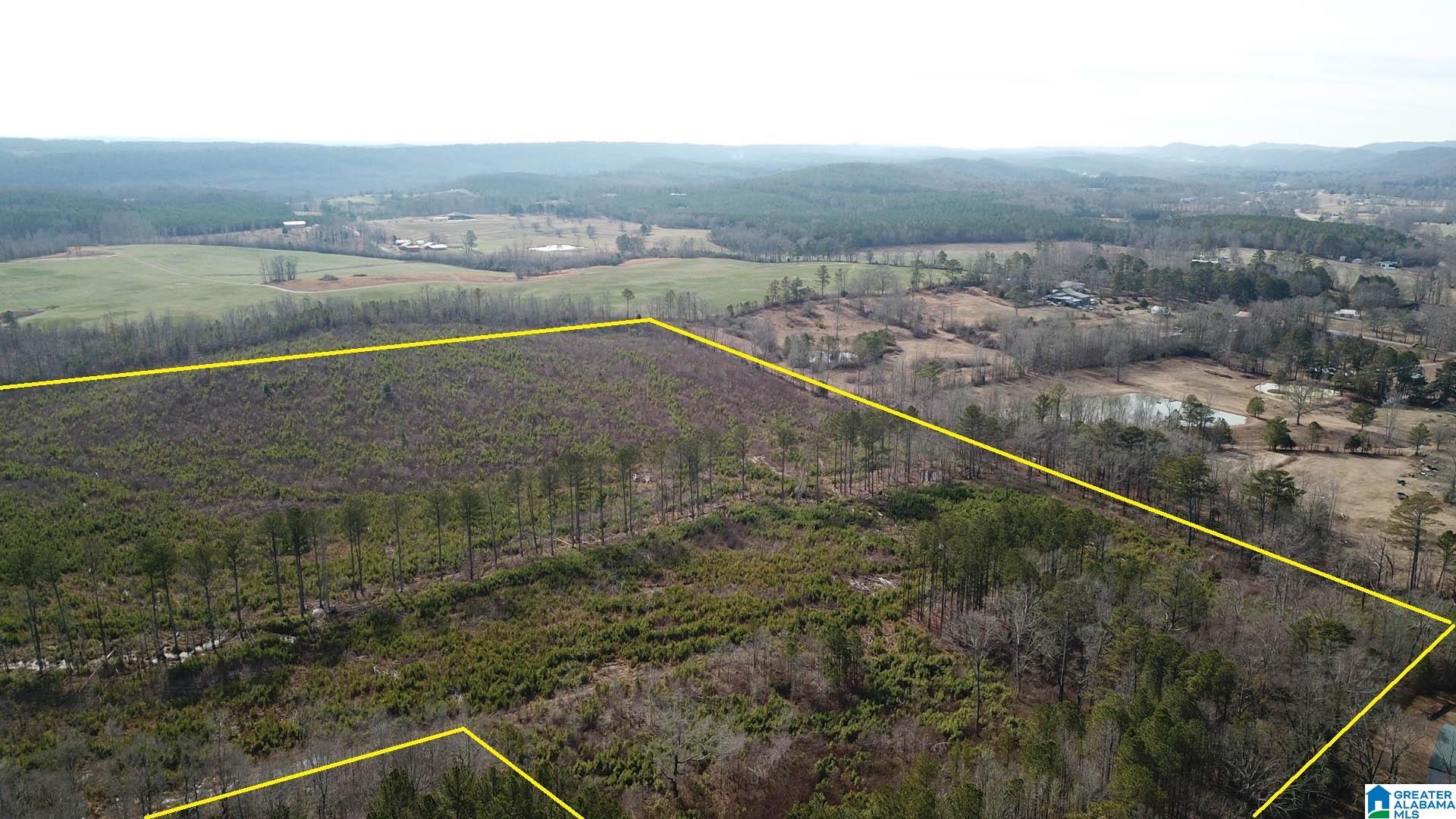 0 Altoona Cutoff Road, Unit 47 5 Oneonta, AL 35121 - Photo 9 of 36