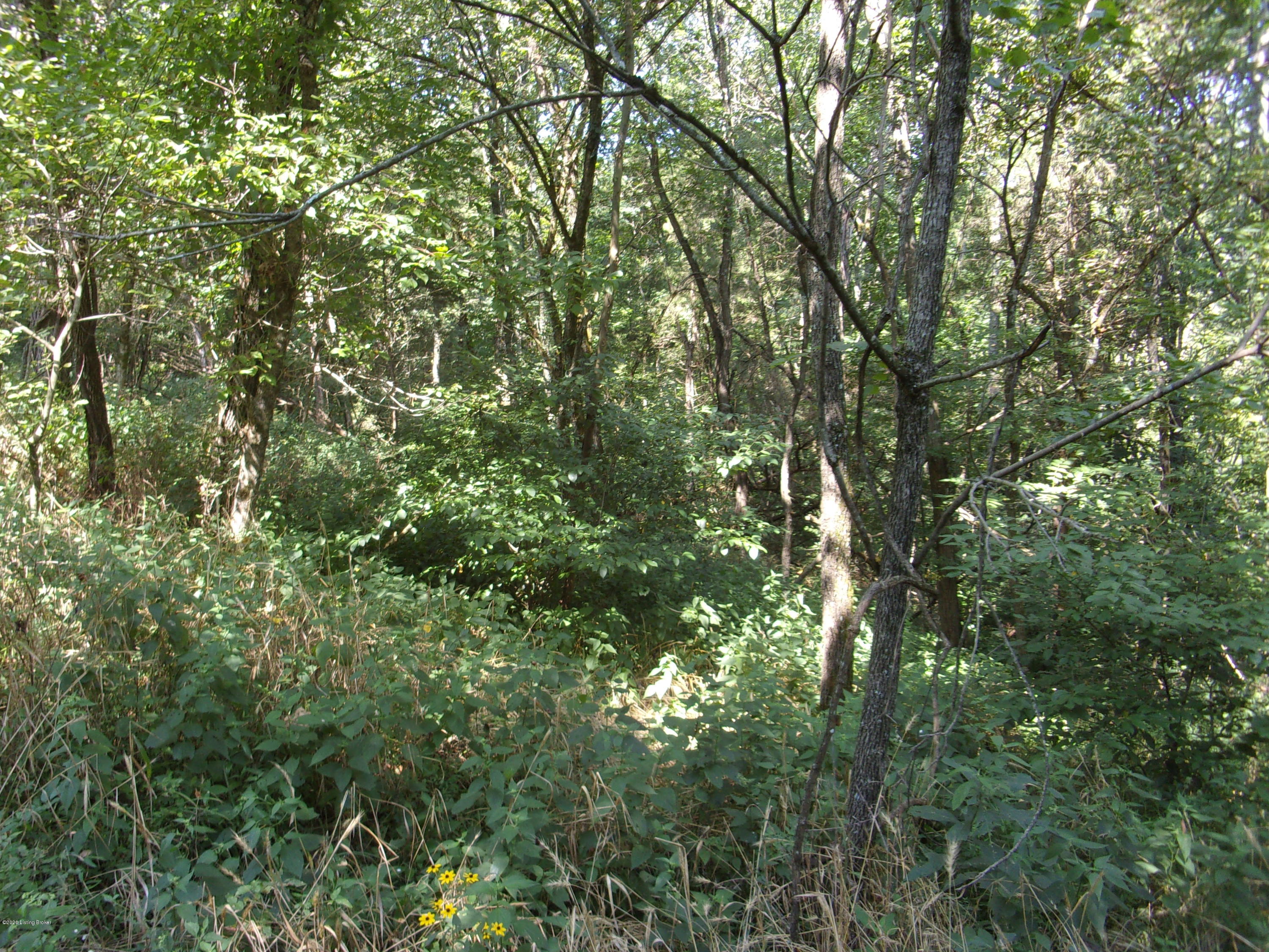 1655 Holt Ridge Road Bloomfield, KY 40008 - Photo 10 of 25 101_0991