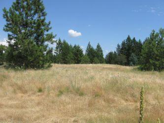 0 East Mullan Trail Road Coeur D'Alene, ID 83814 - Photo 1 of 1 Main