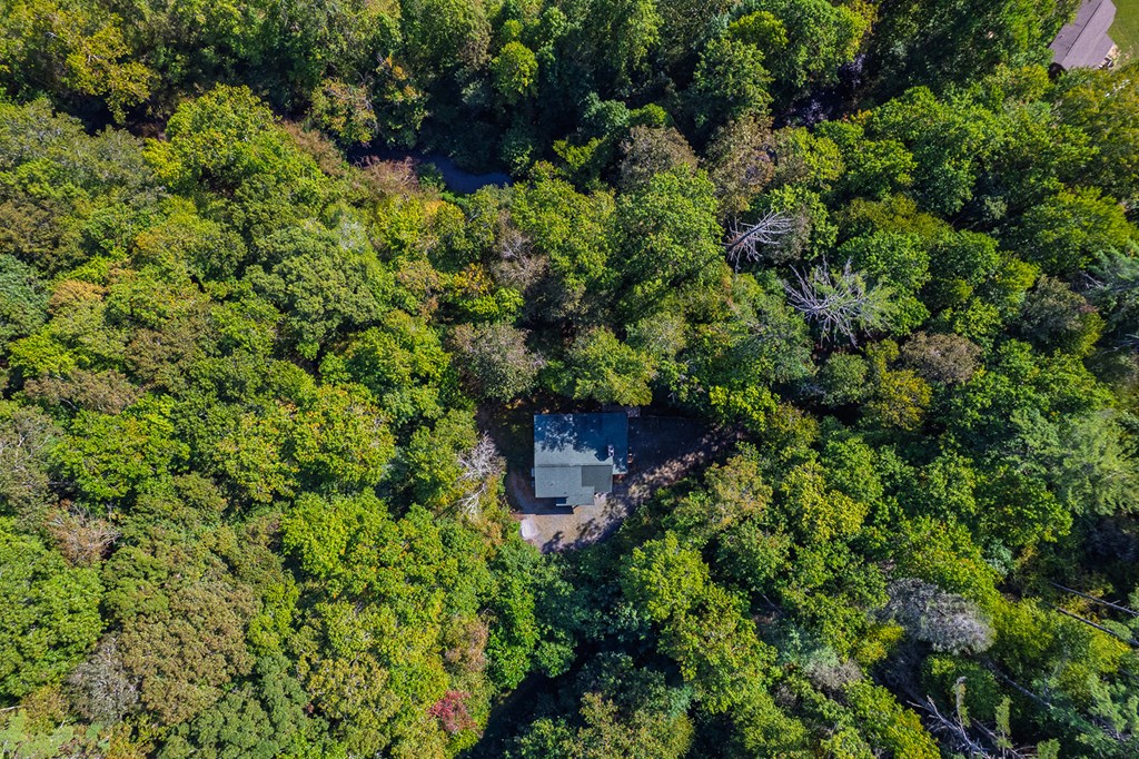4527 Gates Chapel Road Ellijay, GA 30540 - Photo 31 of 39 Gallery Image 31