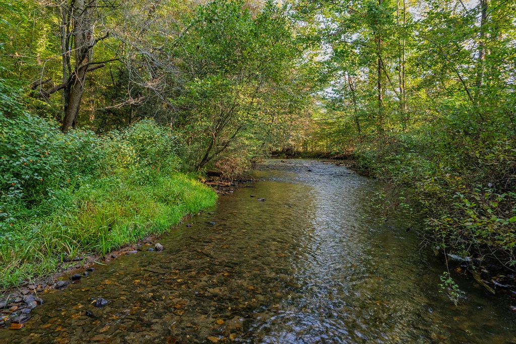 4527 Gates Chapel Road Ellijay, GA 30540 - Photo 4 of 39 Gallery Image 4