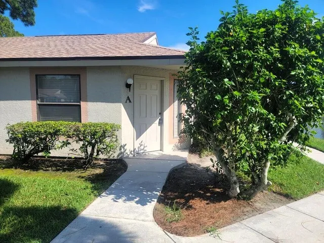 a view of a house with a yard plants and a tree