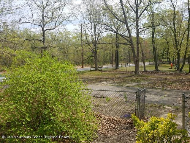 1192 Toms River Road Jackson, NJ 08527 - Photo 38 of 40 yard (1)