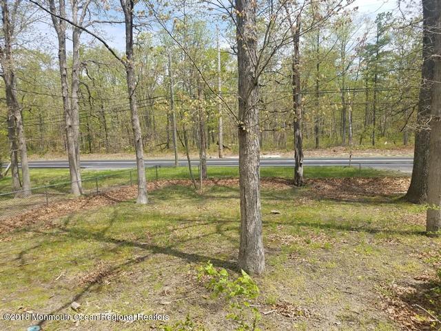 1192 Toms River Road Jackson, NJ 08527 - Photo 39 of 40 yard (2)