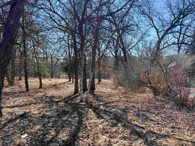 a backyard of a house with lots of trees