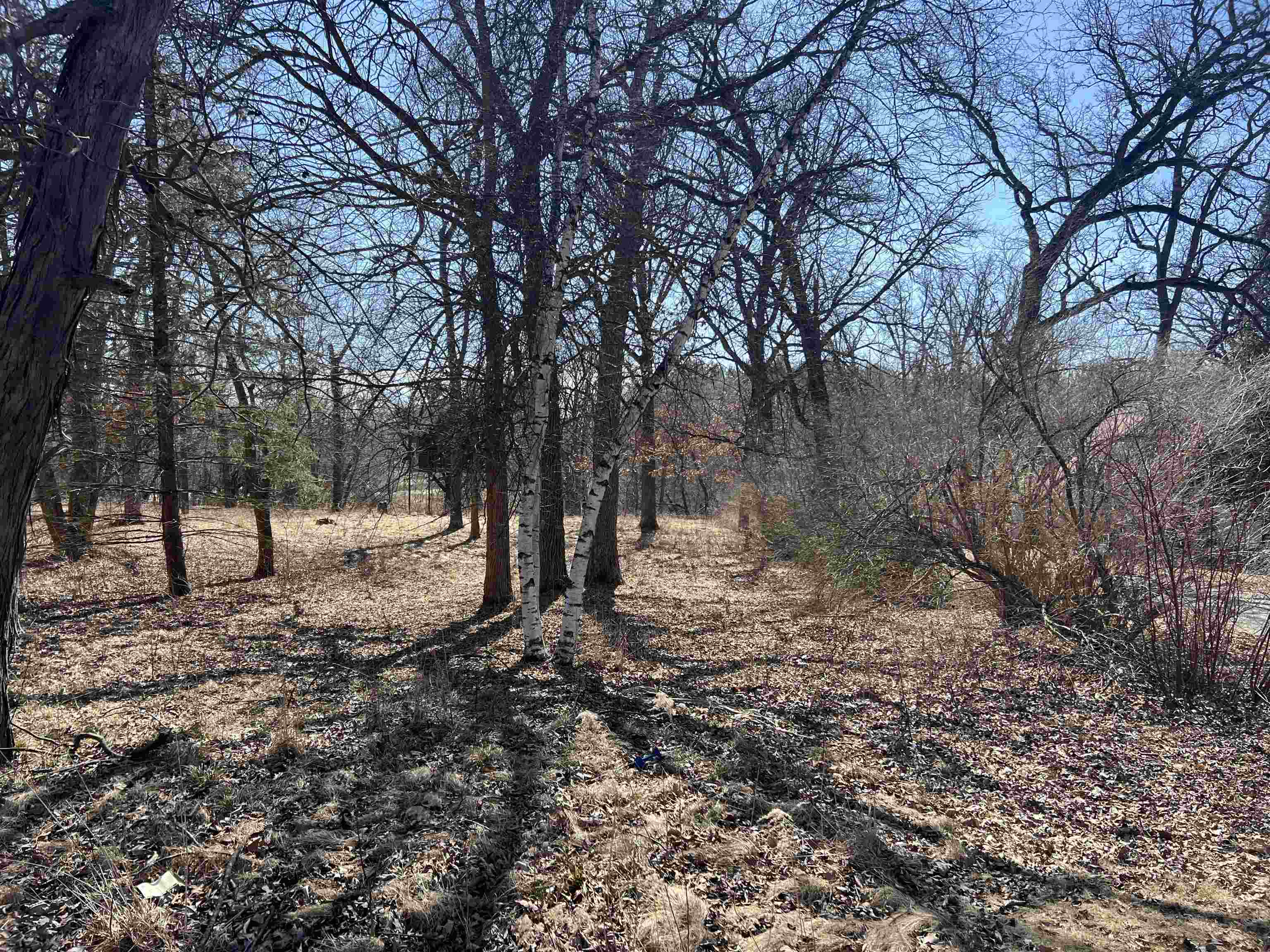 16524 Grove Creek Circle Pecatonica, IL 61063 - Photo 1 of 8