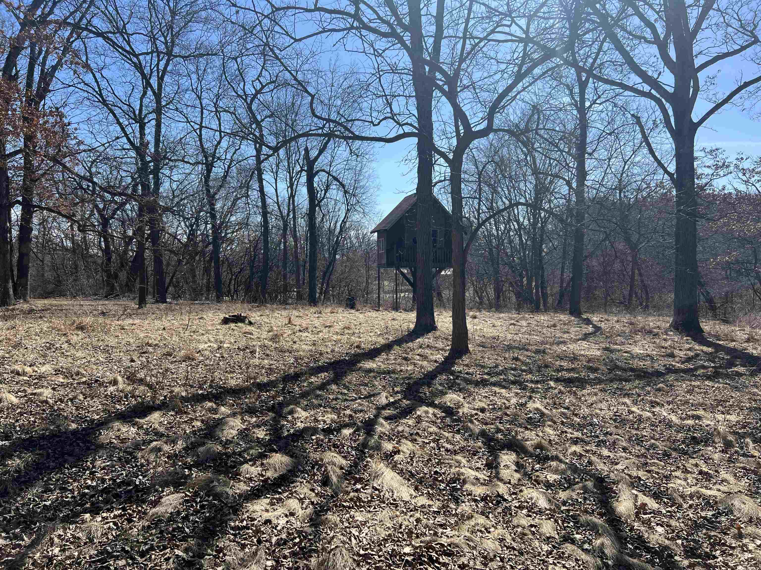 16524 Grove Creek Circle Pecatonica, IL 61063 - Photo 2 of 8 a backyard of a house with lots of trees