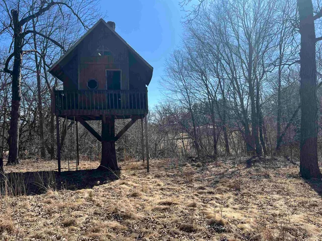 a view of a forest filled with trees