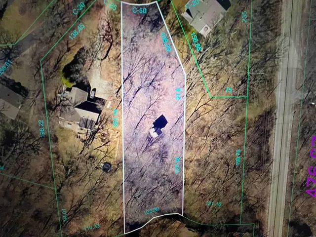 a picture of flowers