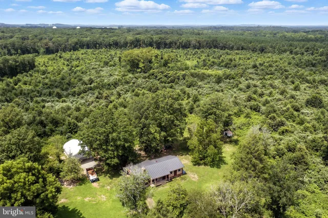 a view of a lush green forest with trees and some houses
