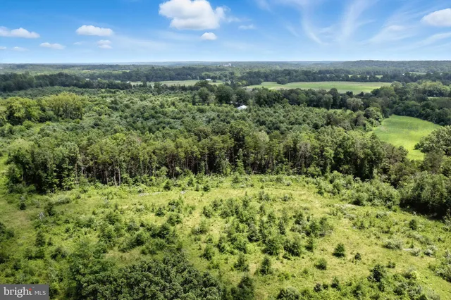 a view of a lush green space with sea
