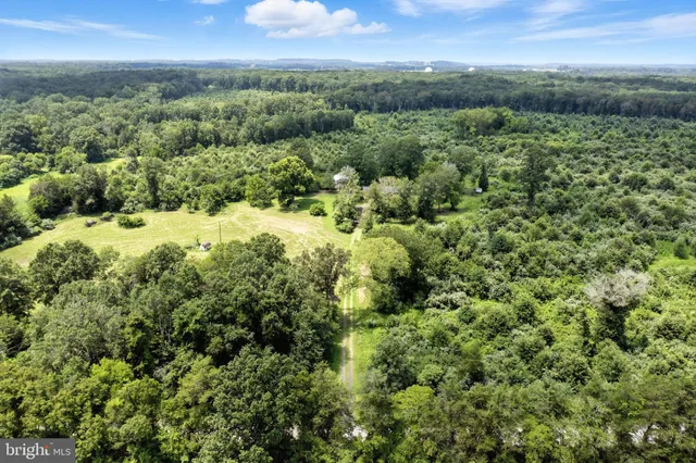 a view of a city with lush green forest