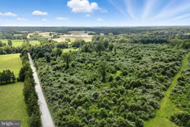 a view of a green field with lots of green space