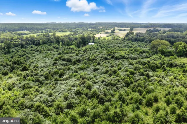 an aerial view of residential houses with outdoor space and trees