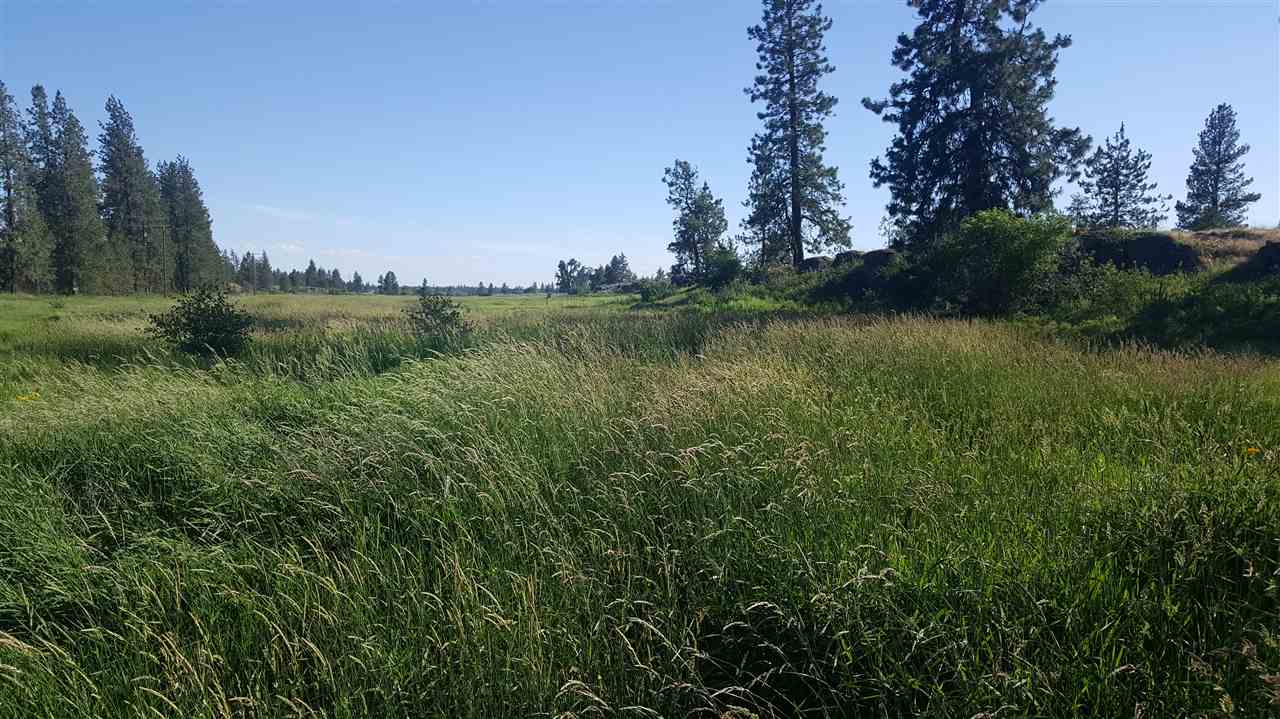Lot 1 South Harrison Road Edwall, WA 99008 - Photo 11 of 14