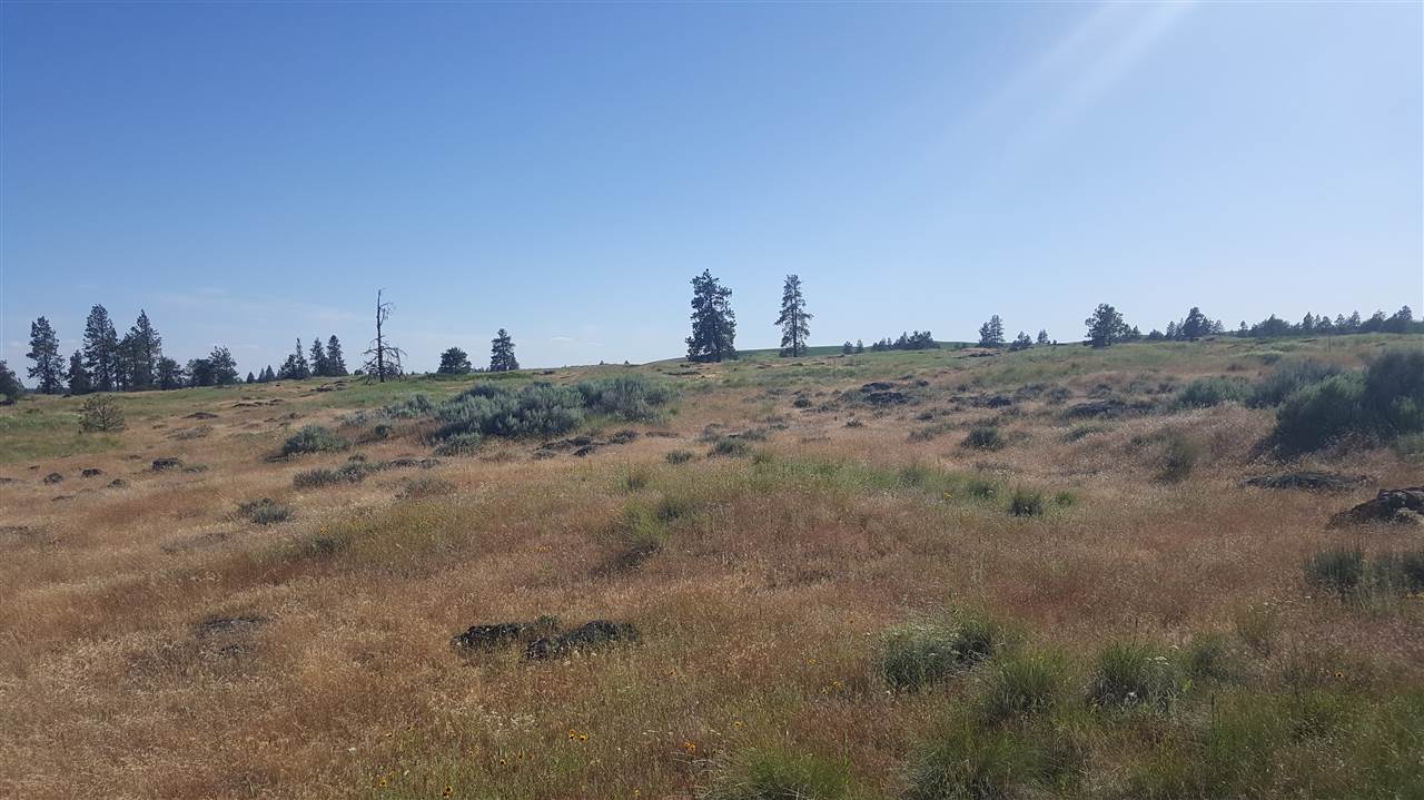 Lot 1 South Harrison Road Edwall, WA 99008 - Photo 12 of 14