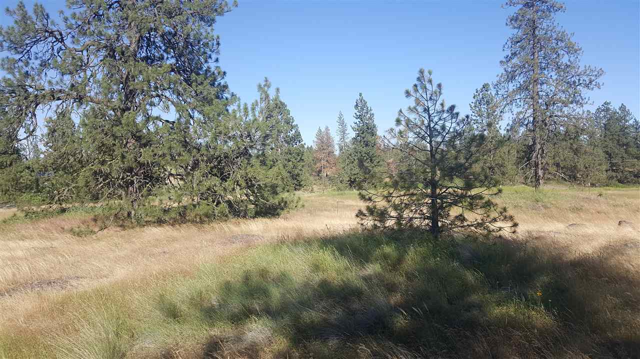 Lot 1 South Harrison Road Edwall, WA 99008 - Photo 13 of 14