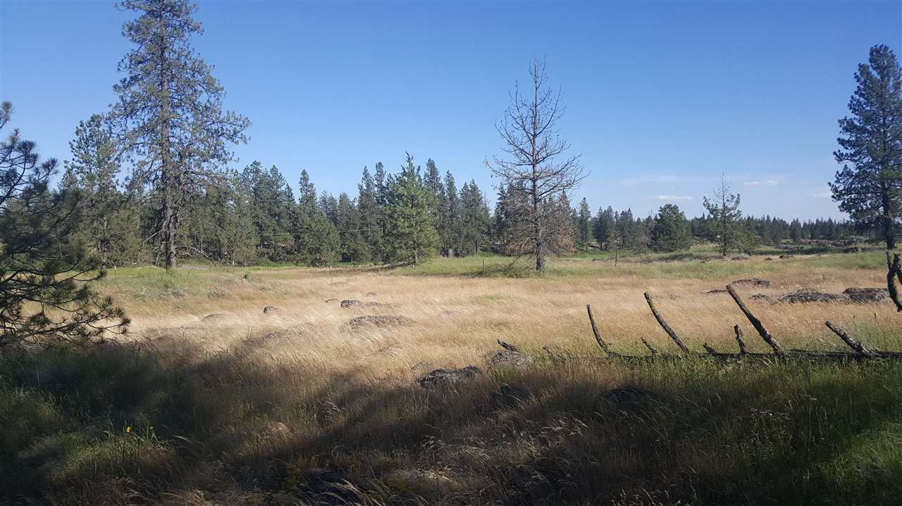 Lot 1 South Harrison Road Edwall, WA 99008 - Photo 14 of 14
