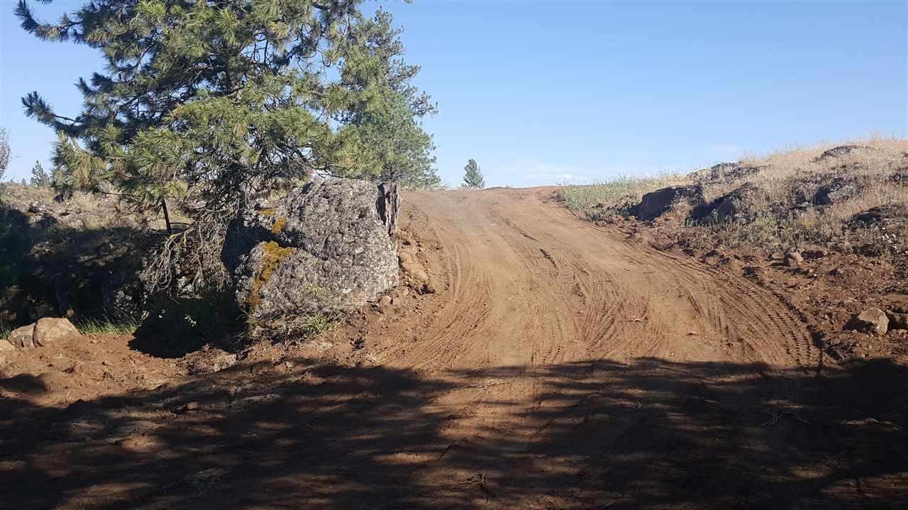 Lot 1 South Harrison Road Edwall, WA 99008 - Photo 3 of 14