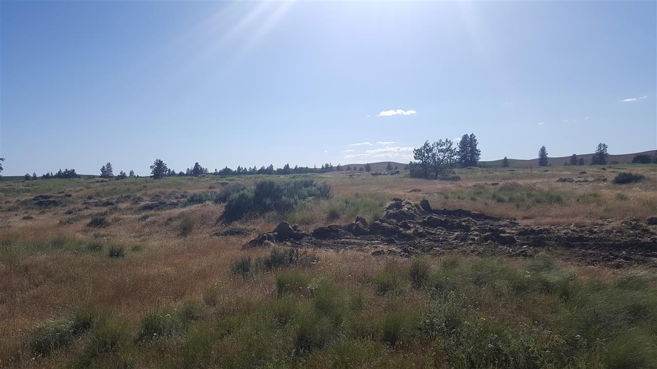 Lot 1 South Harrison Road Edwall, WA 99008 - Photo 5 of 14