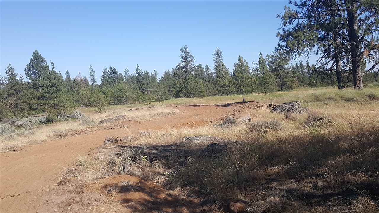 Lot 1 South Harrison Road Edwall, WA 99008 - Photo 6 of 14