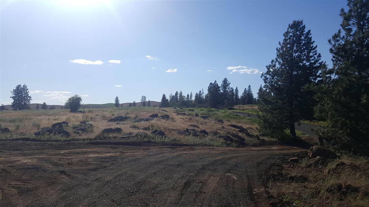 Lot 1 South Harrison Road Edwall, WA 99008 - Photo 7 of 14