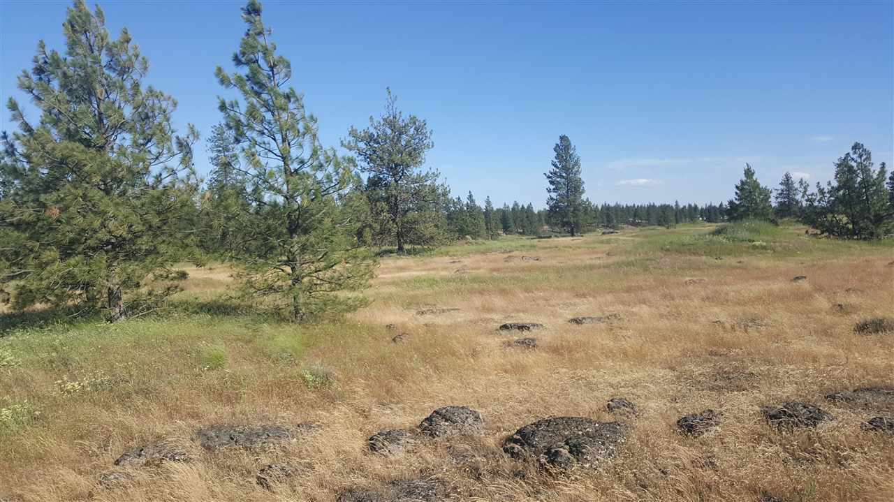 Lot 1 South Harrison Road Edwall, WA 99008 - Photo 8 of 14