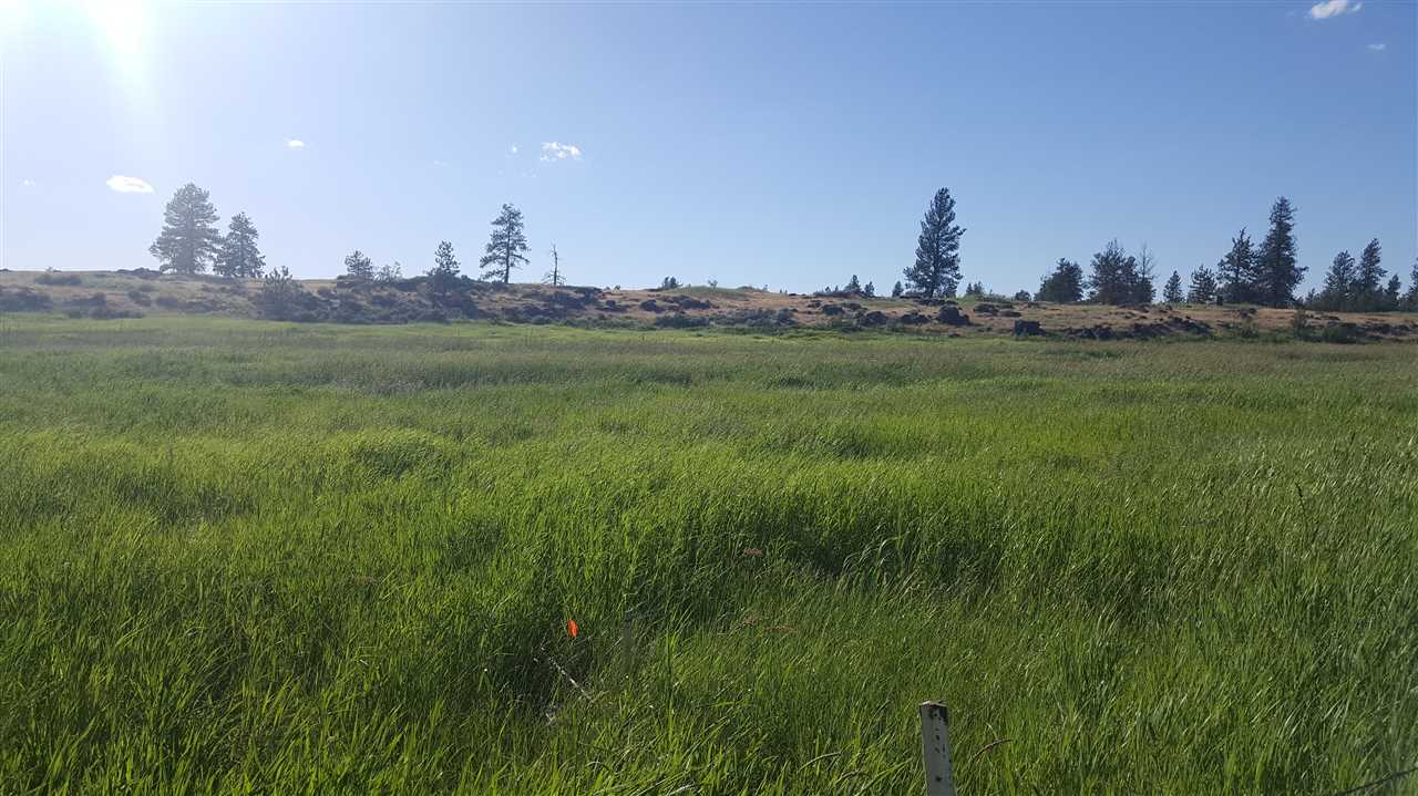 Lot 1 South Harrison Road Edwall, WA 99008 - Photo 9 of 14