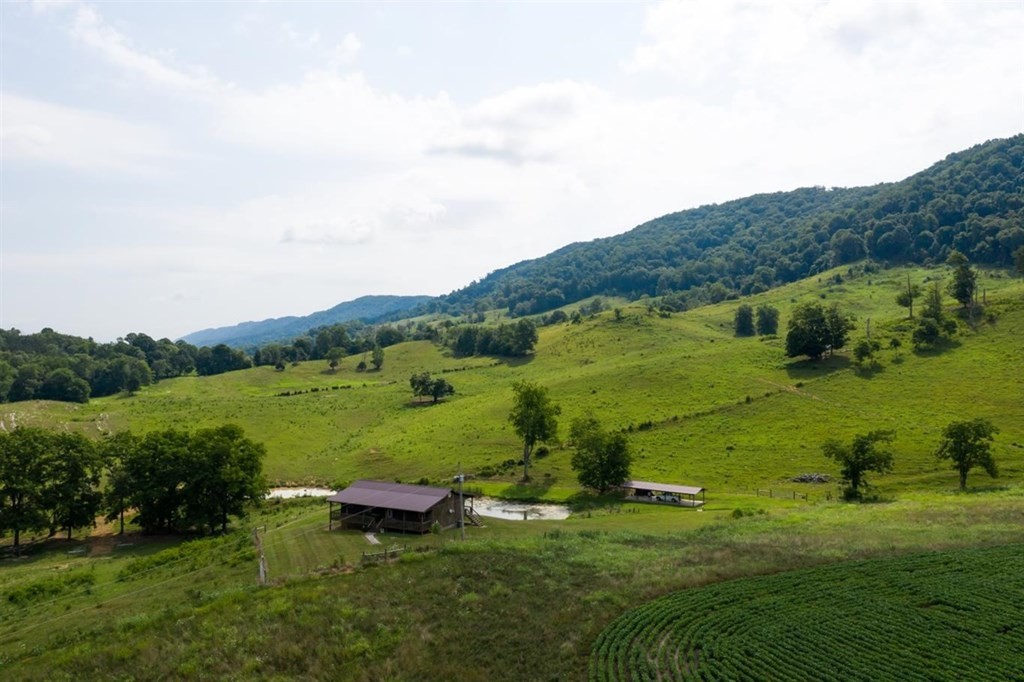 341 Mulberry Gap Road Sneedville, TN 37869 - Photo 29 of 46 Gallery Image 29