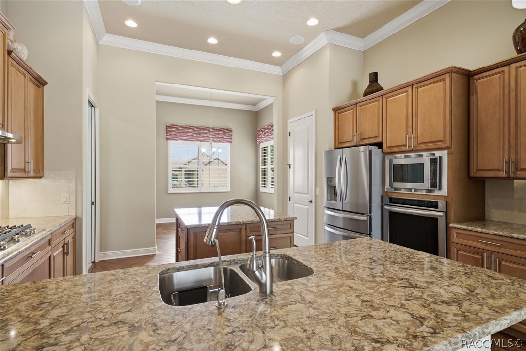 1542 North Ridge Meadow Path Hernando, FL 34442 - Photo 7 of 60