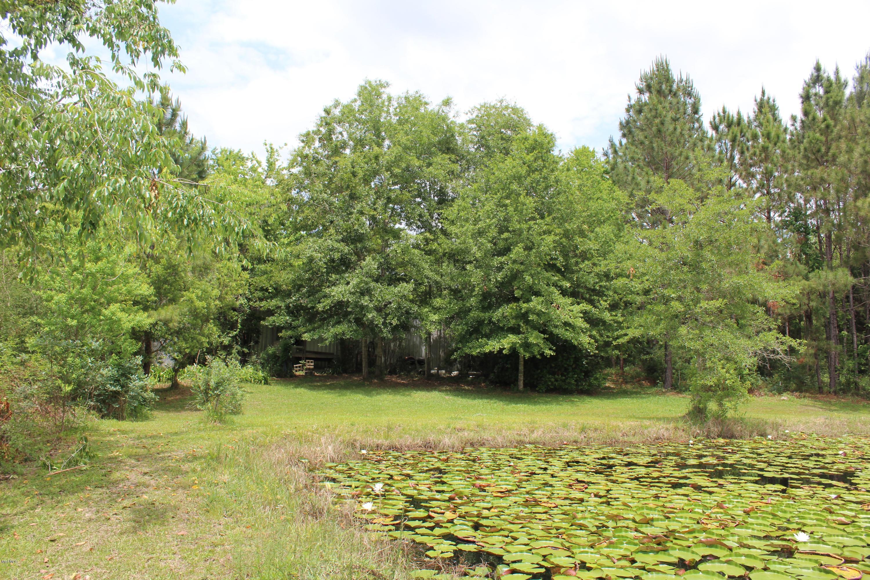 19085 West Honey Branch Road Saucier, MS 39574 - Photo 11 of 15 IMG_4241
